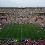 Why the MetLife Stadium grass is in danger in the Argentina vs. Spain World Cup final

